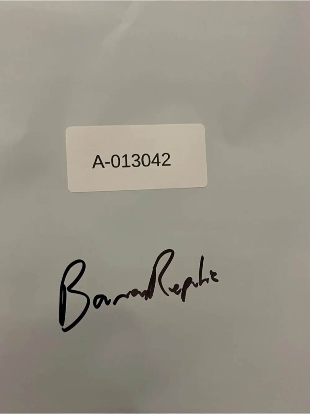 Banana Republic banana republic
