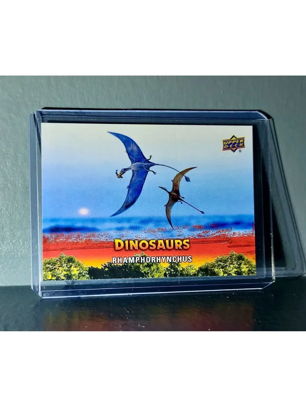 2015 Upper Deck Dinosaurs Rhamphorhynchus Extinction Red Parallel #91 Card