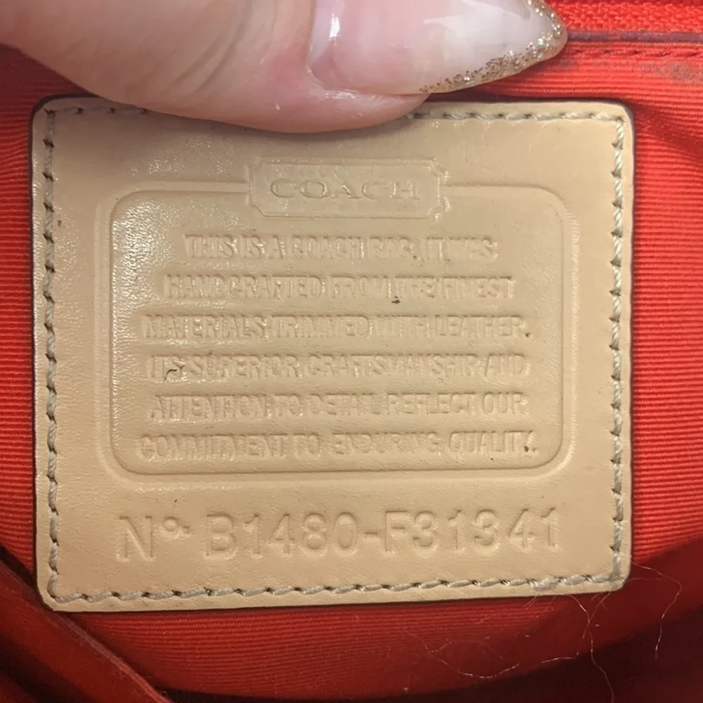 Coach this canvas 12