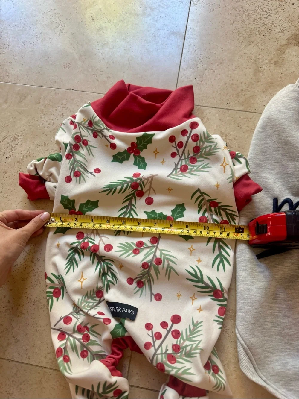 N/A christmas dog