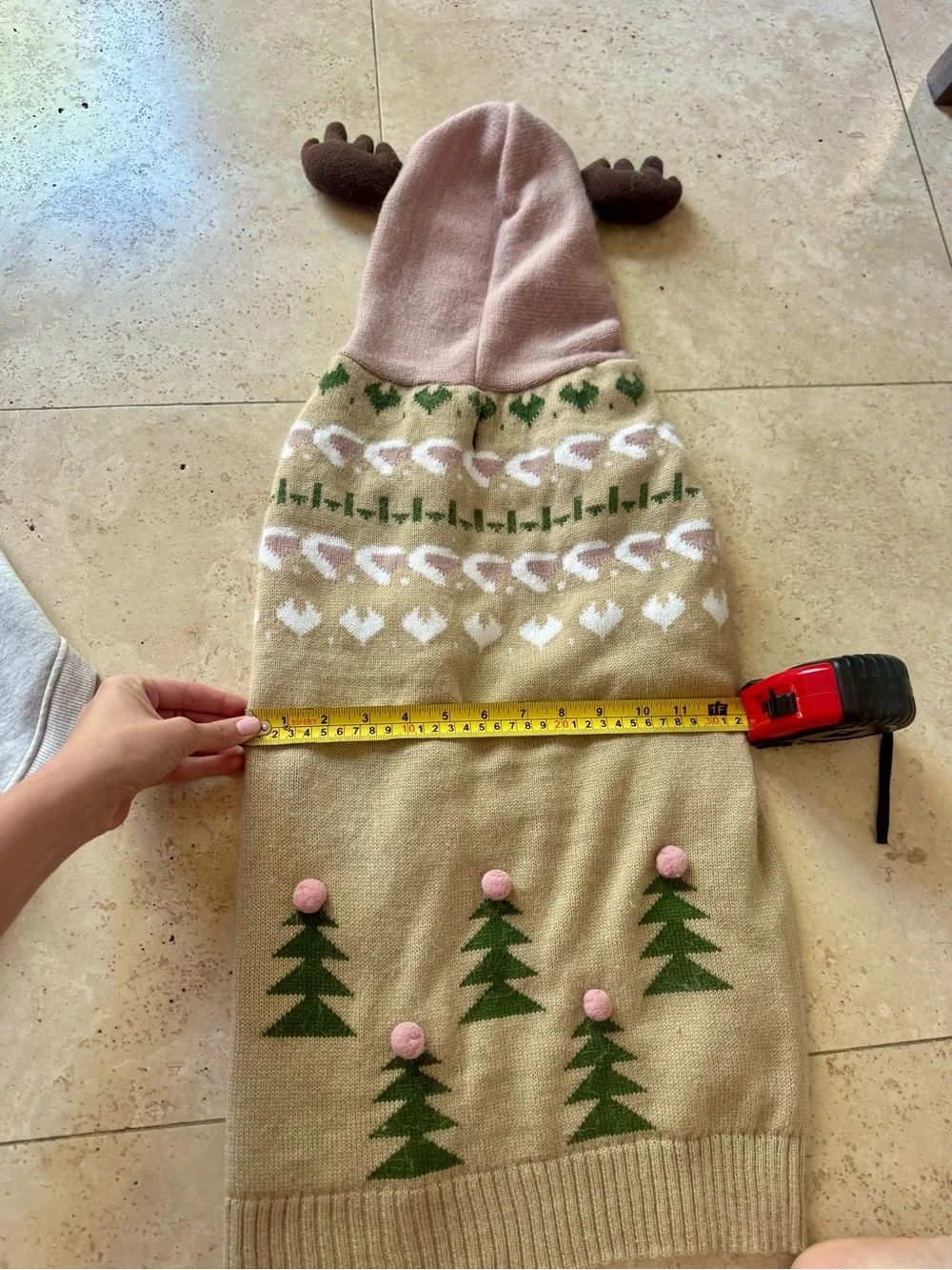 N/A christmas dog