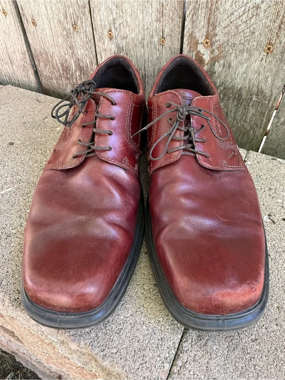 Ecco classic derby