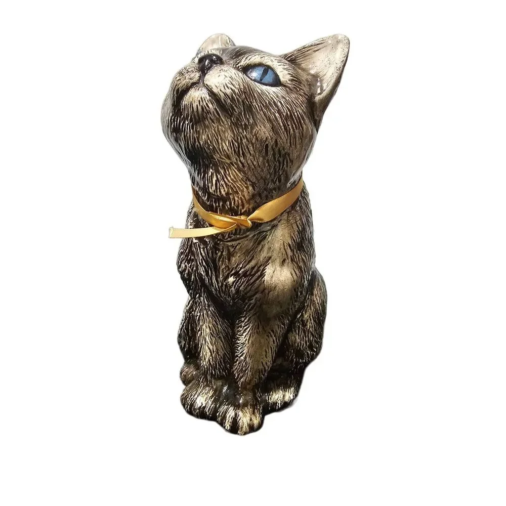 Brown cat blue