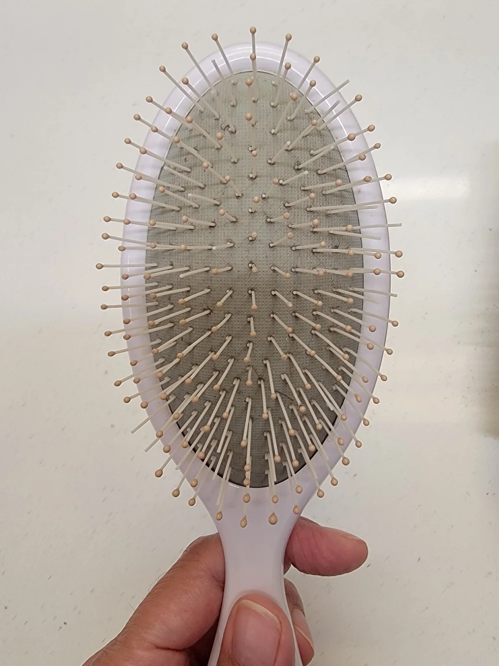 T3 set brushes