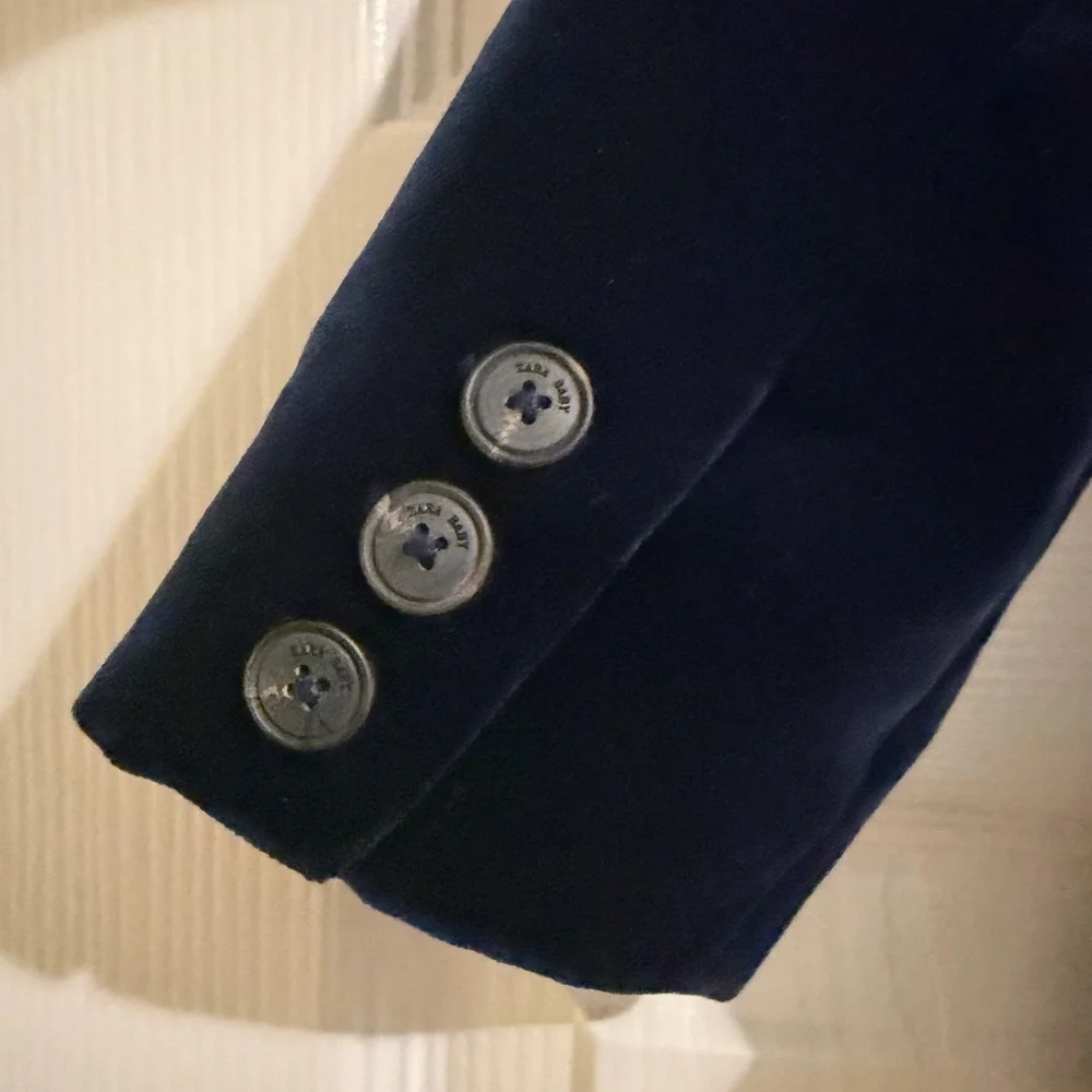 Zara chic velvet