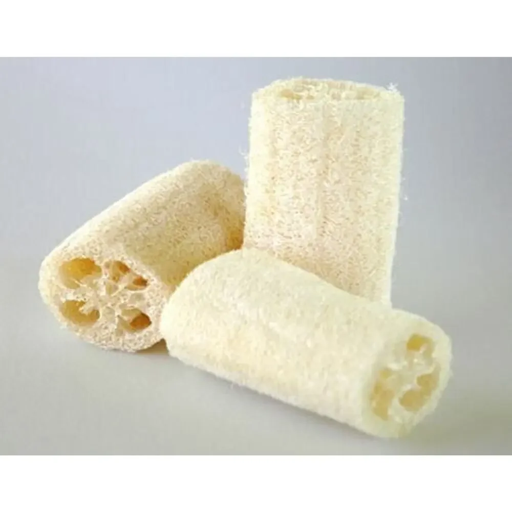 Loofah Art loofah art