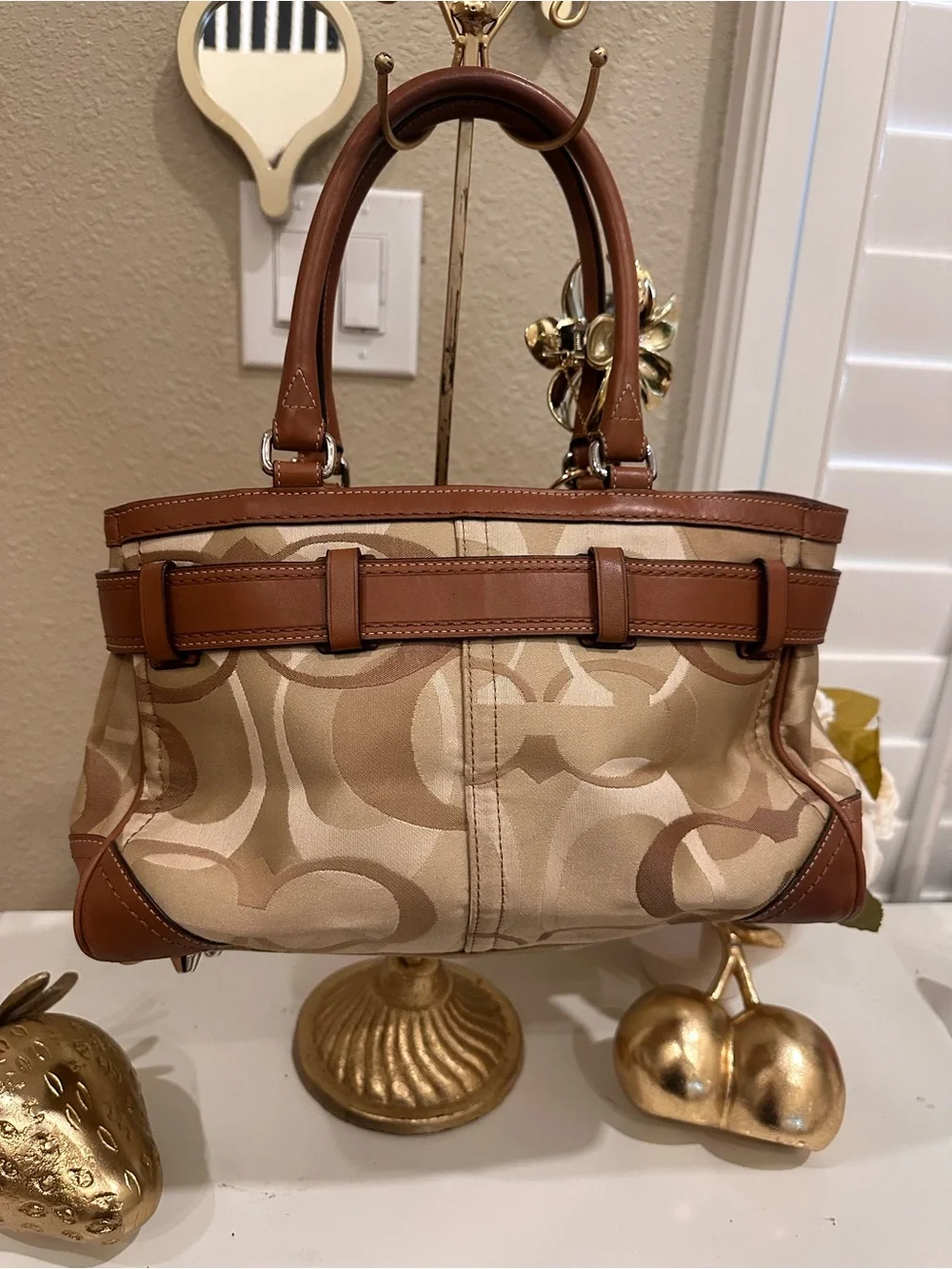Coach signature canvas