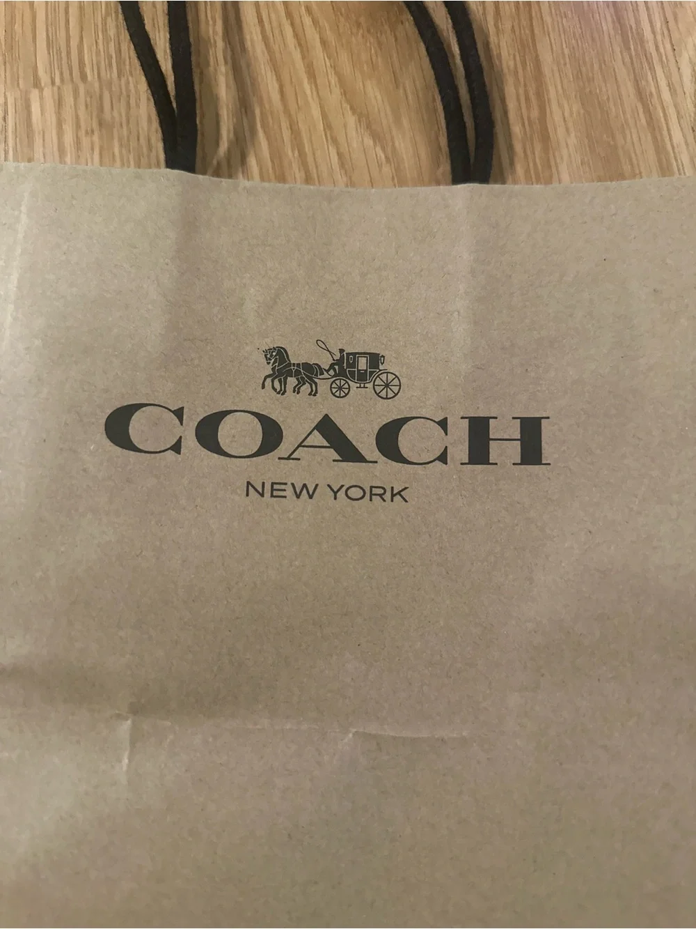 Coach paper tote
