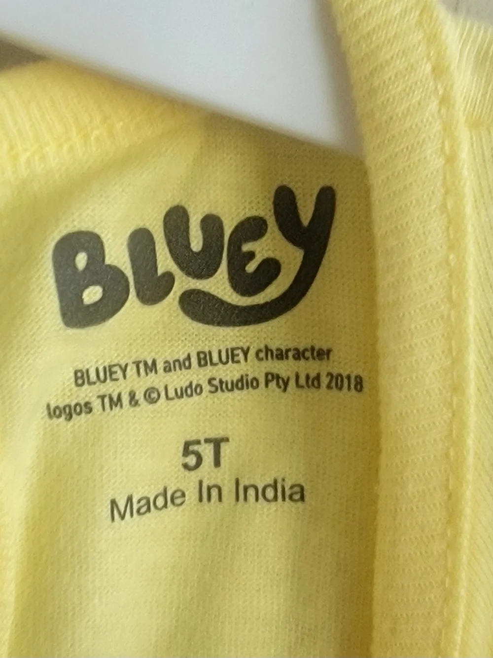Bluey nwt soft