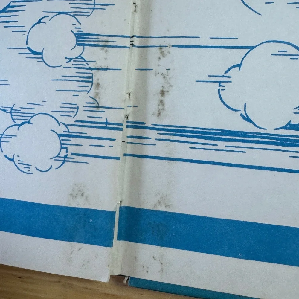 Dr. Seuss vintage copy
