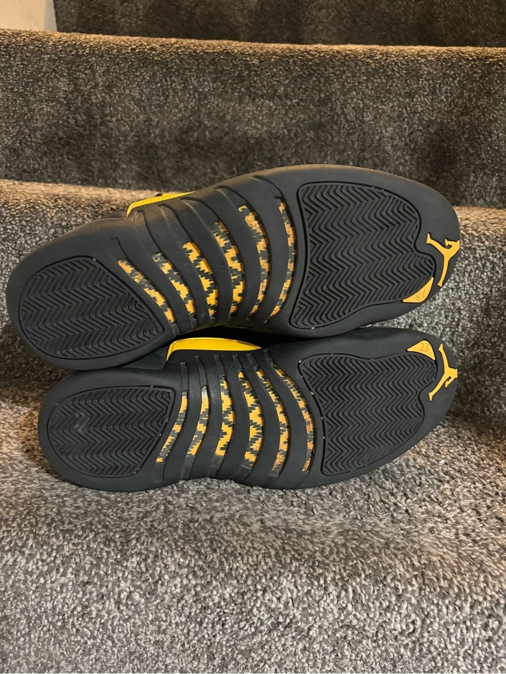 Nike jordan 12