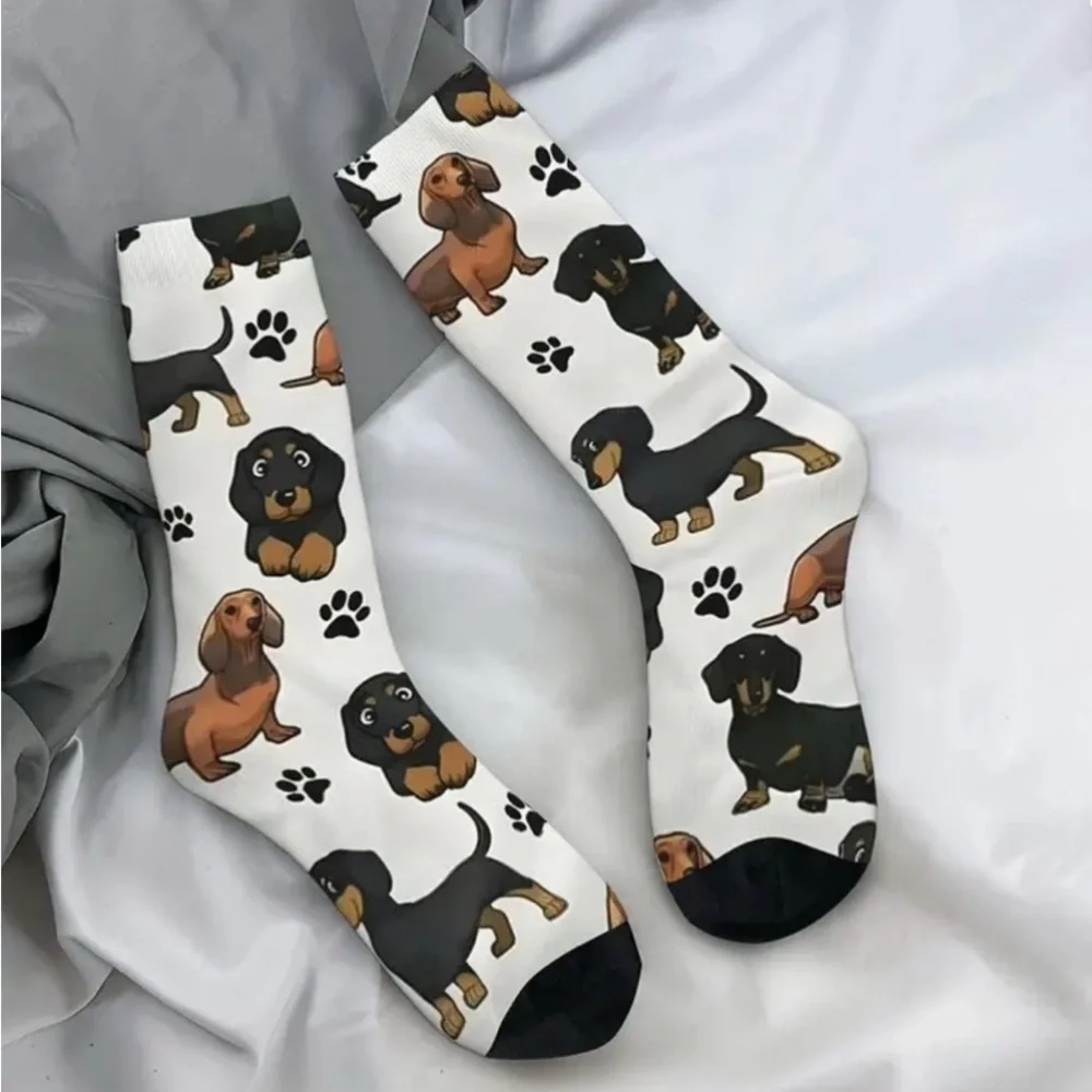 N/A dachshund doxie