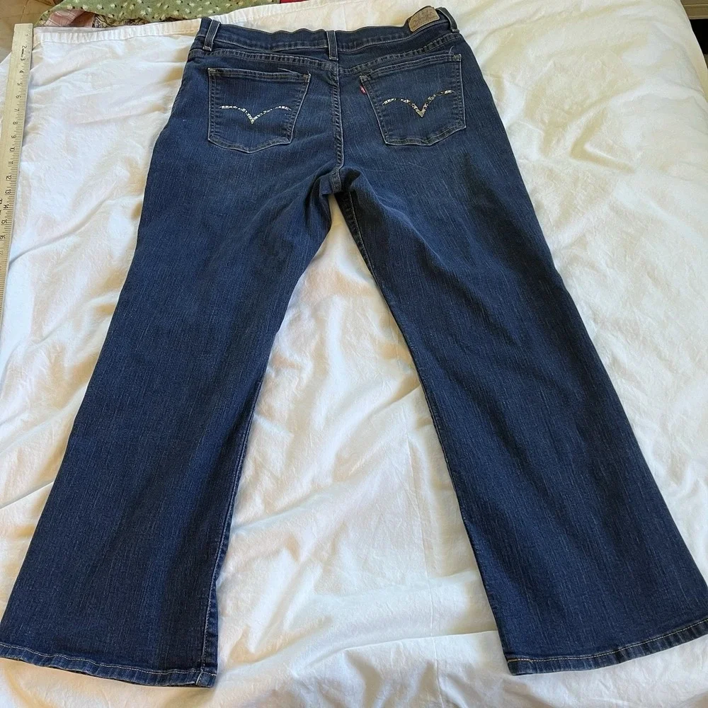 Levis levi perfectly
