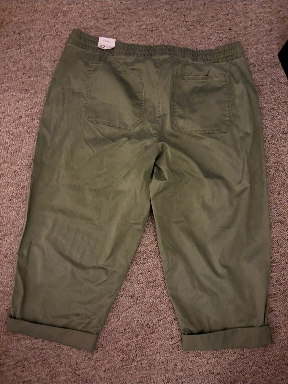Lane Bryant cropped chinos