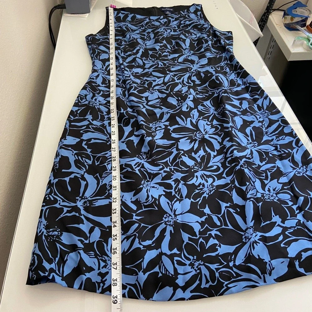 Ann Taylor measurements pics