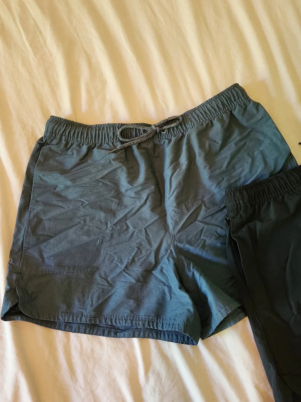 allbirds shorts elastic