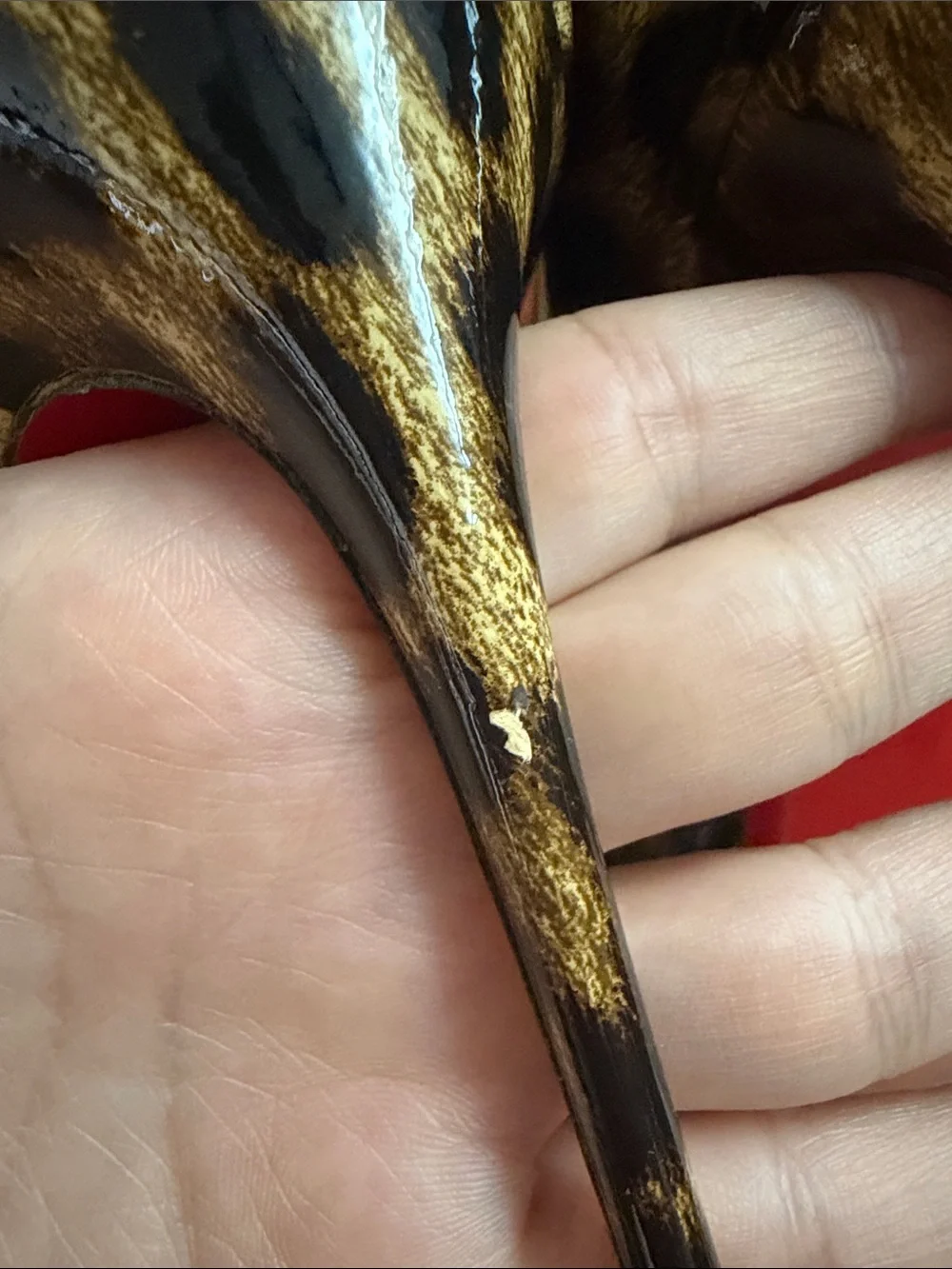 Christian Louboutin iconic christian