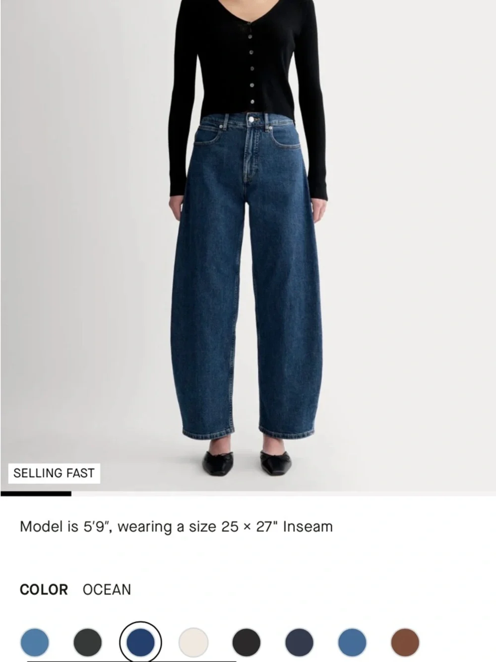 Everlane barrel jeans “the way high curve”