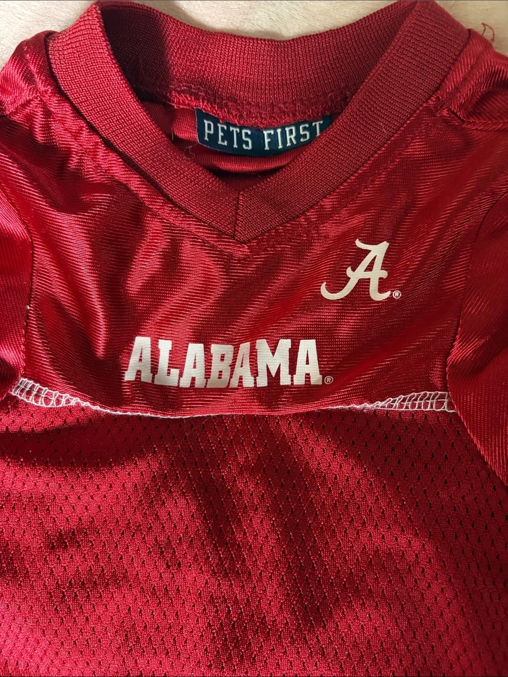 Pets First team themed