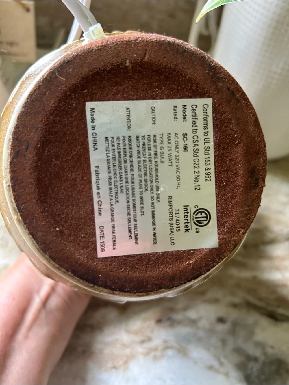 N/A charming brown