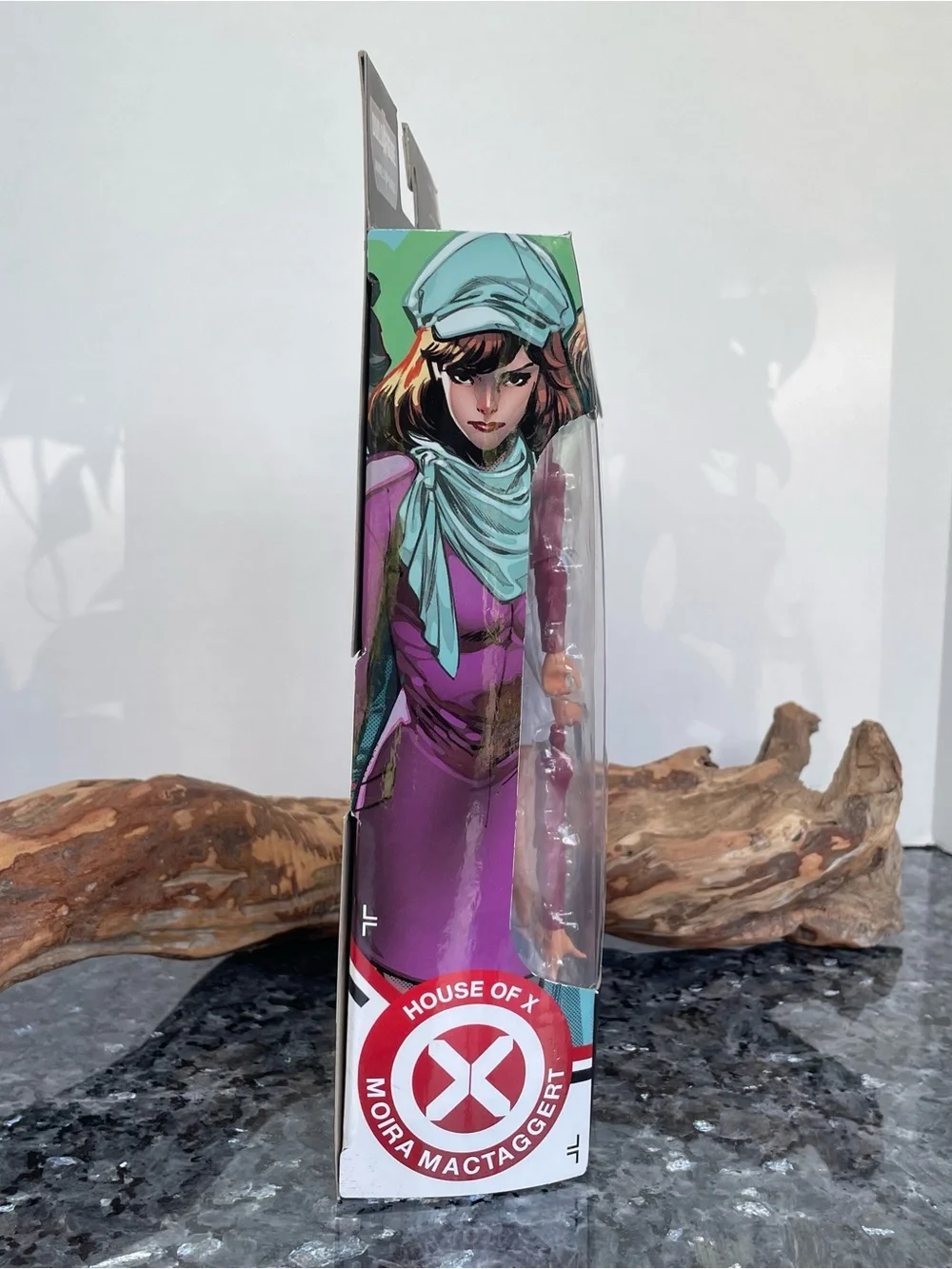 Hasbro photos** all house