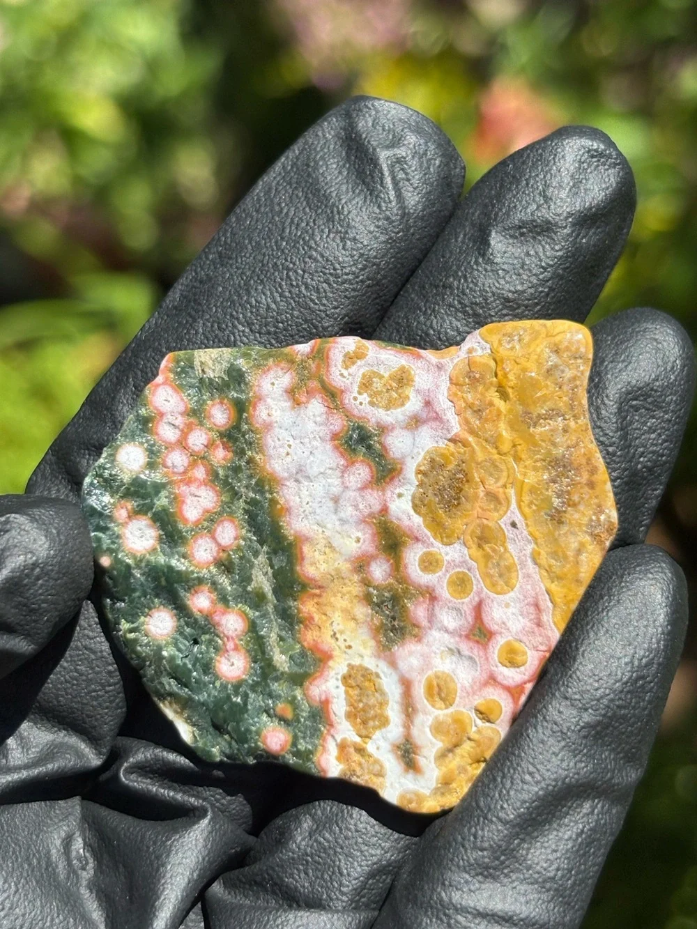 Small Ocean Jasper Crystal Slab - Polished Sea Jasper - Orbicular Jasper