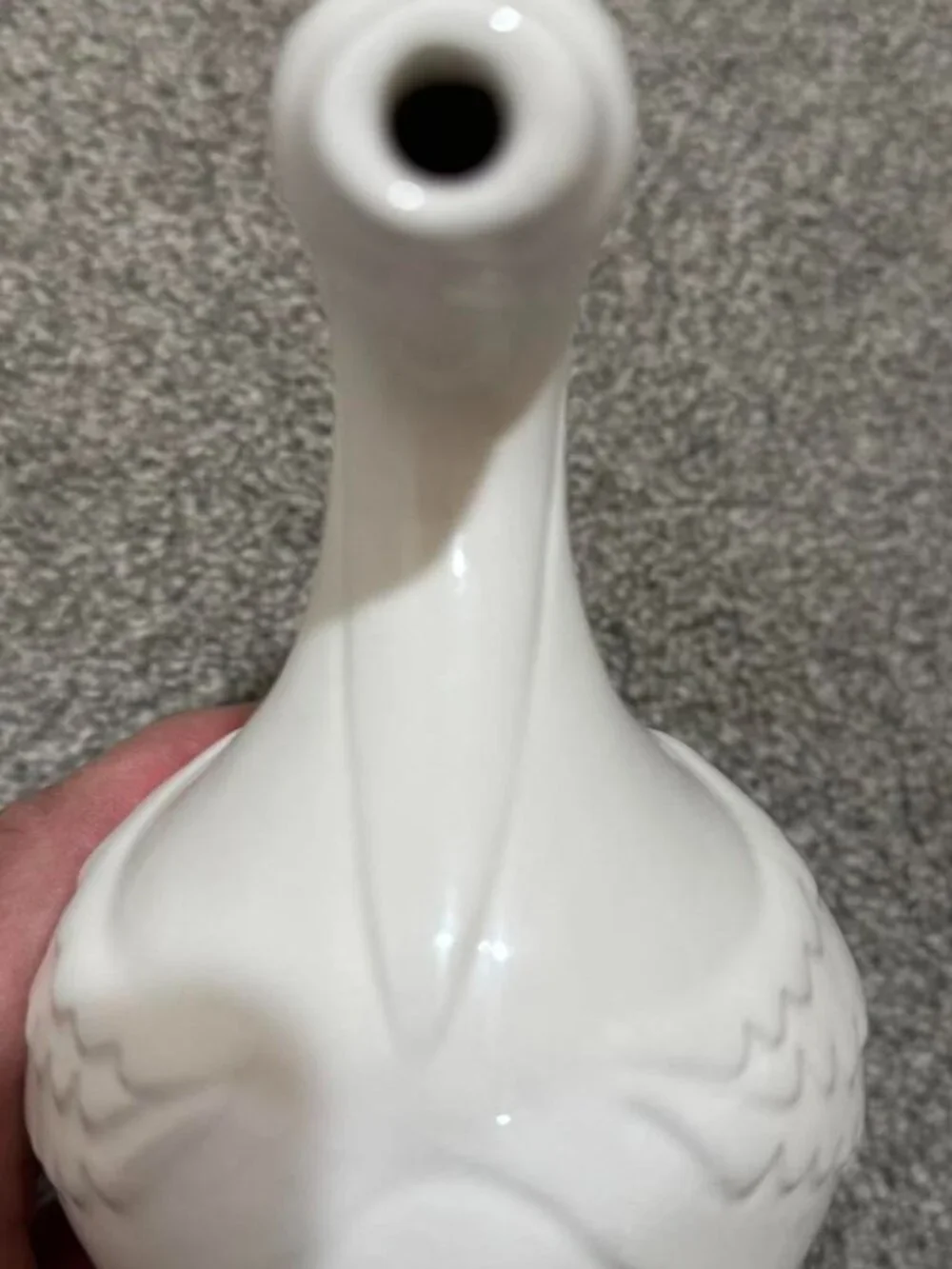 Vintage America 🦢✨swan goose