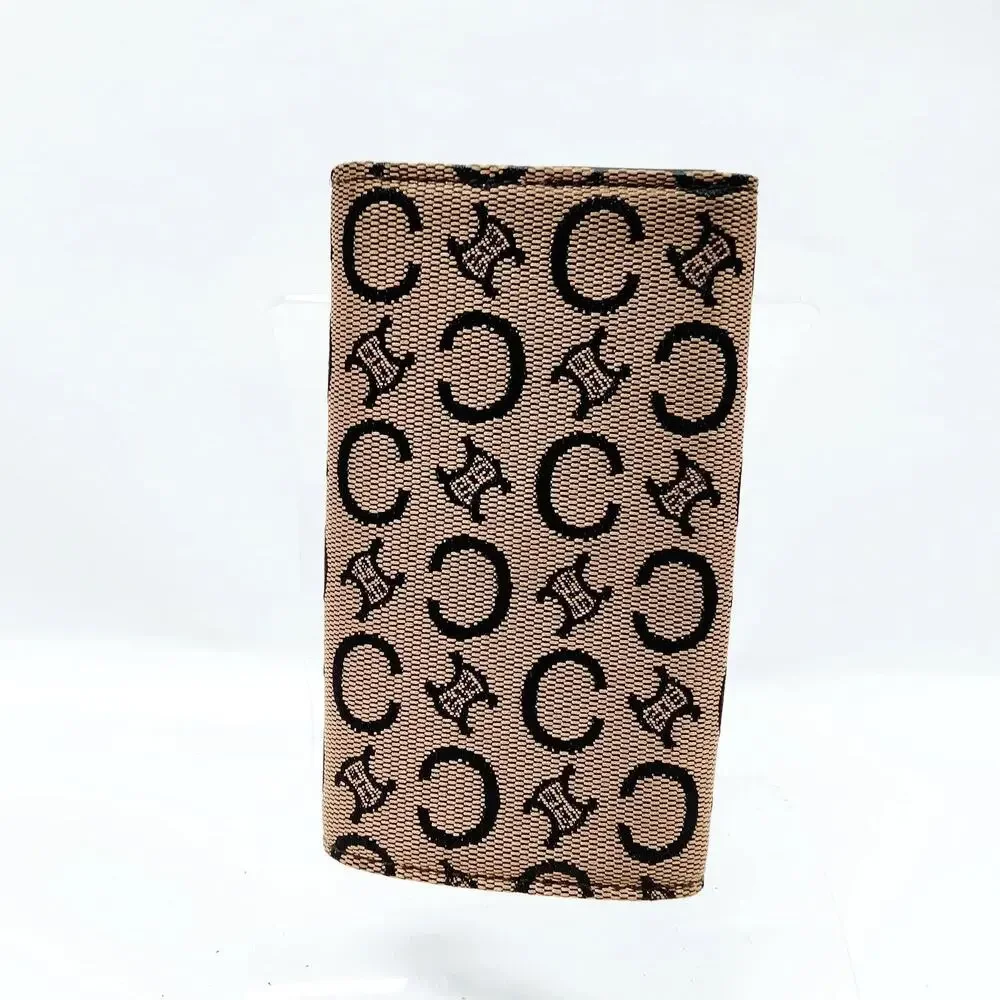 Celine triomphe canvas