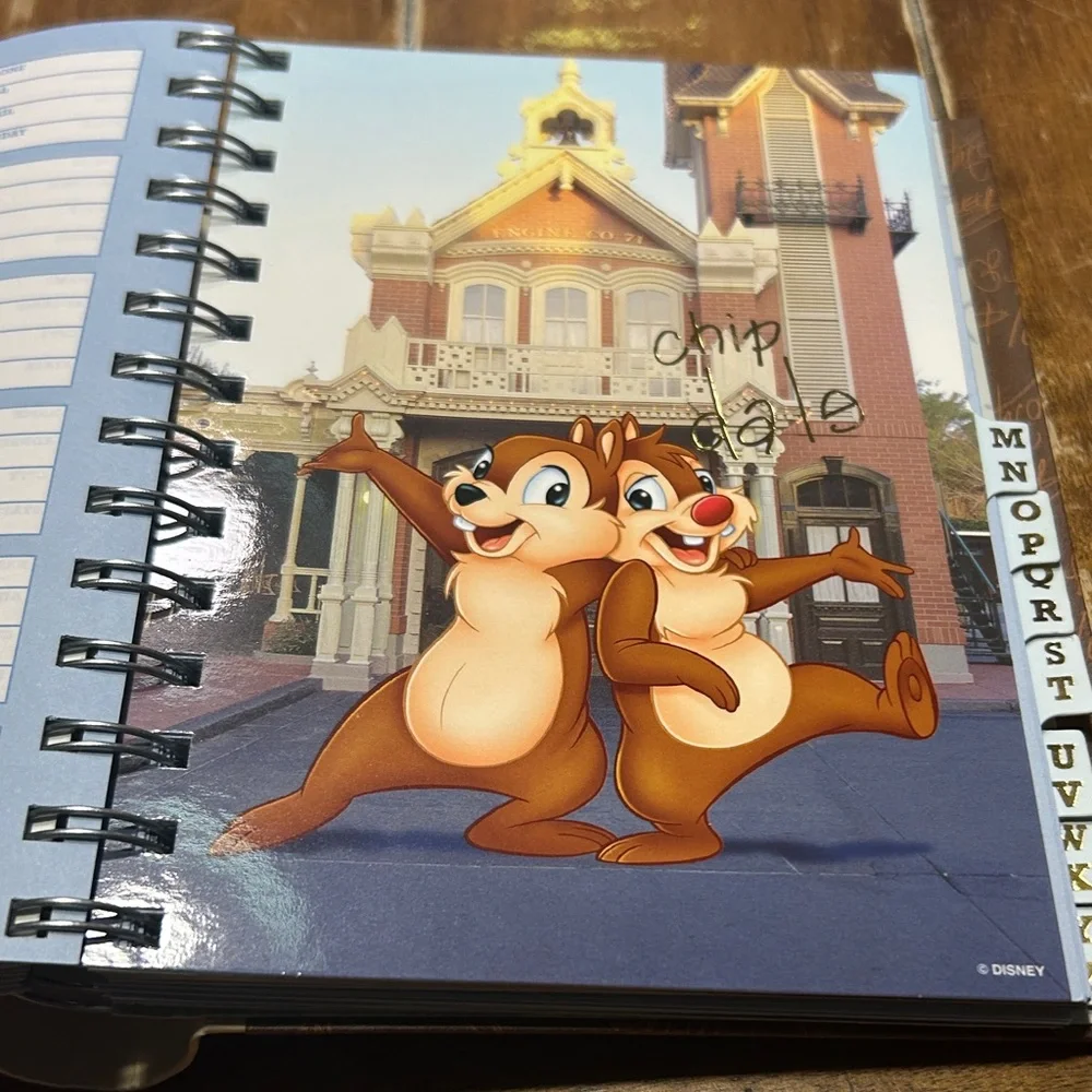 Walt Disney charming address