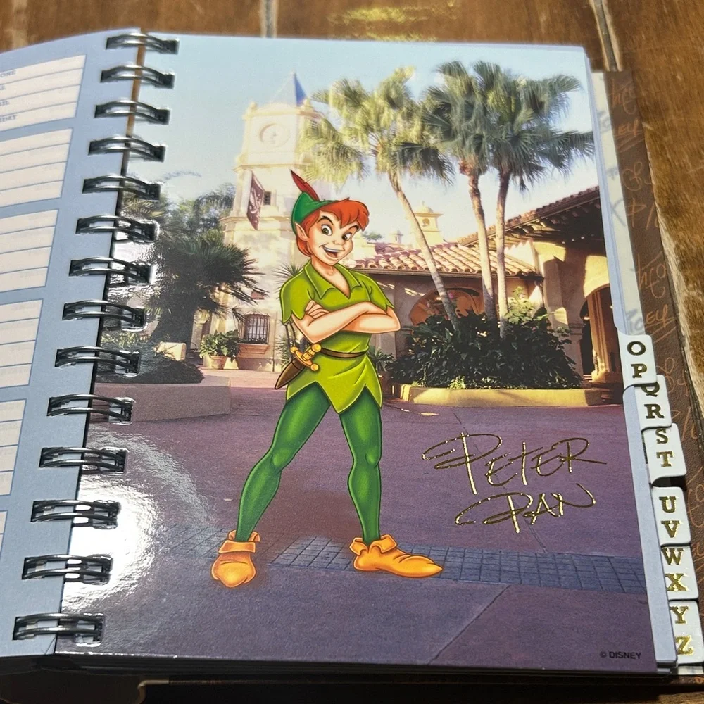 Walt Disney charming address