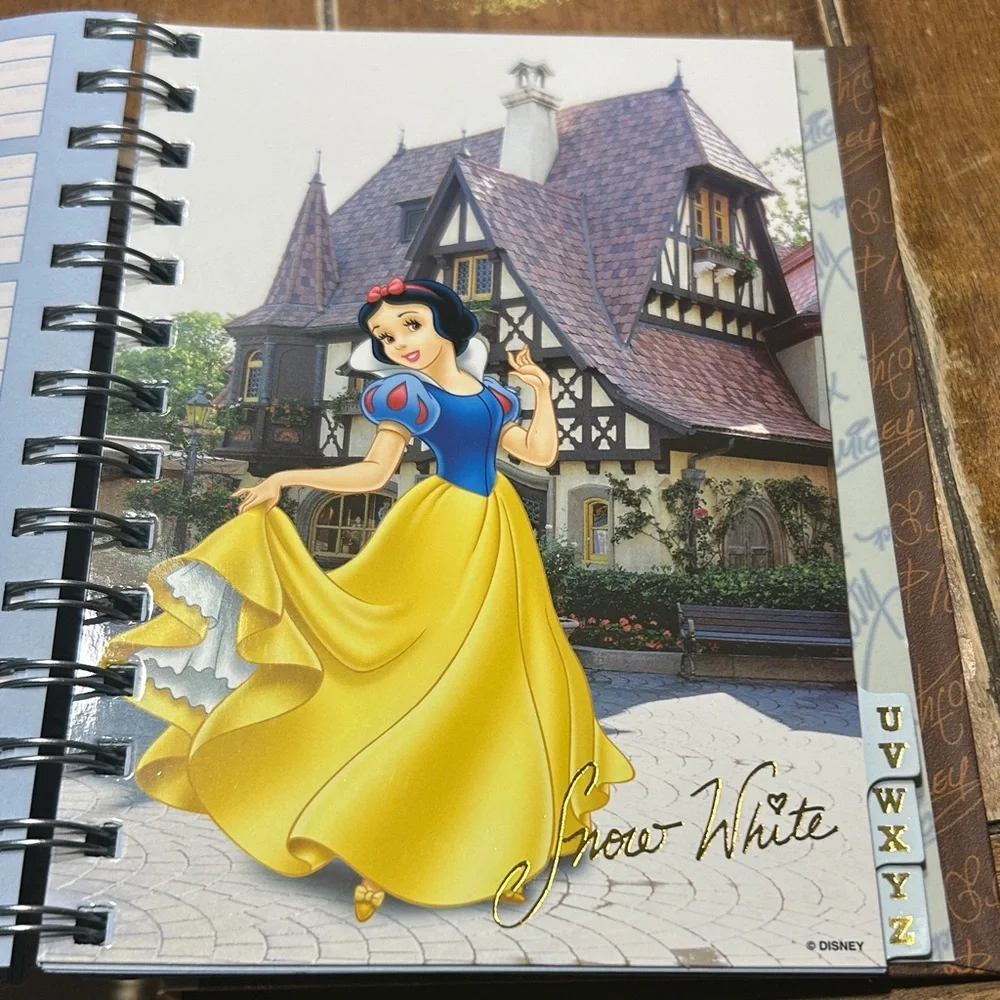 Walt Disney charming address