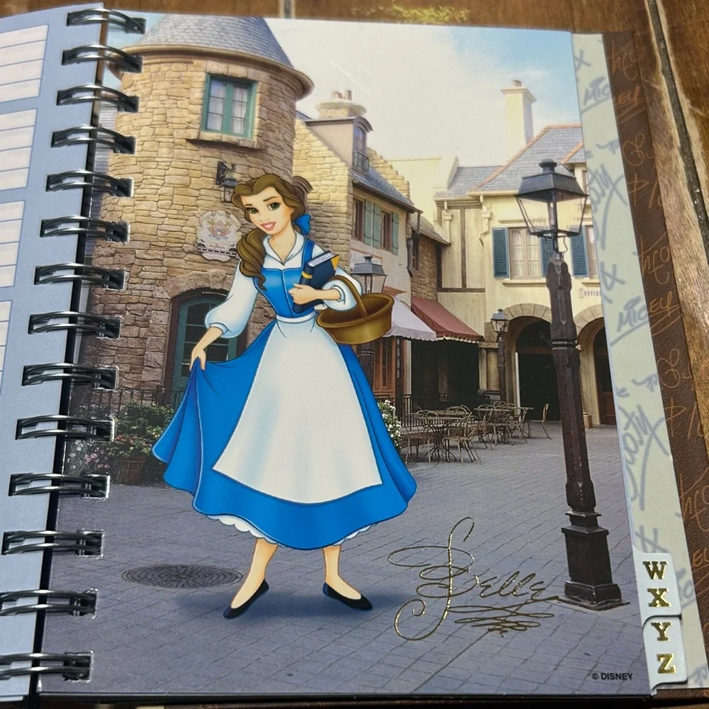 Walt Disney charming address