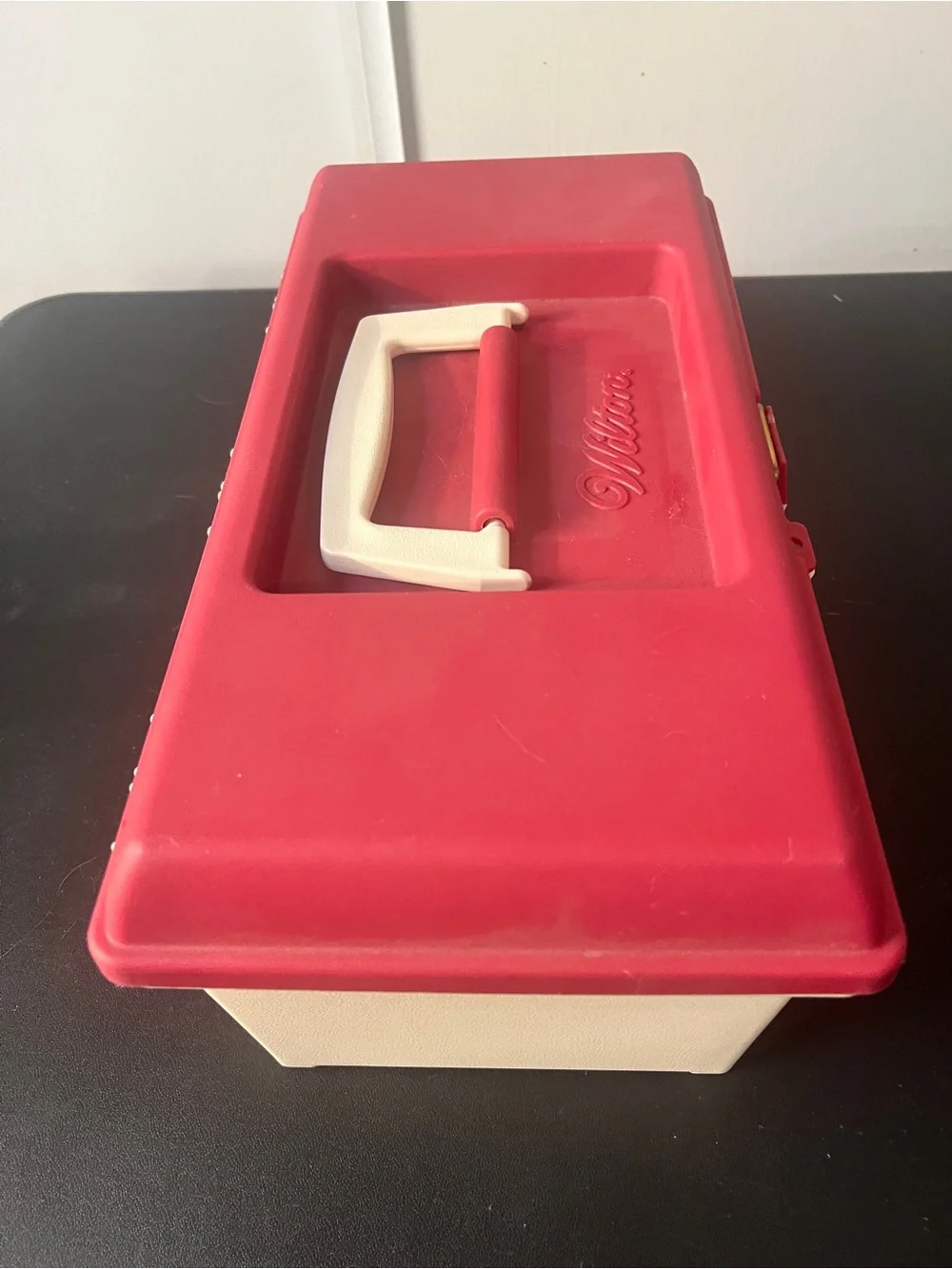 Wilton cake decorating