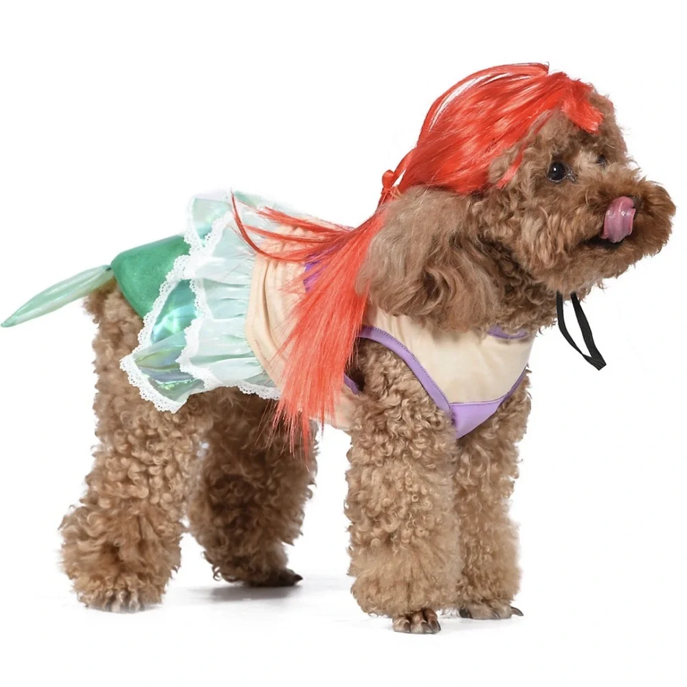 Disney little mermaid