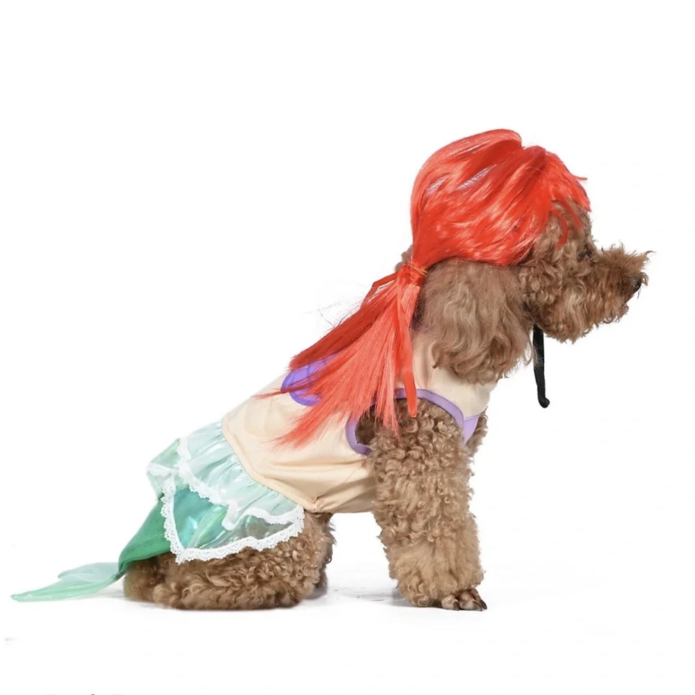 Disney little mermaid