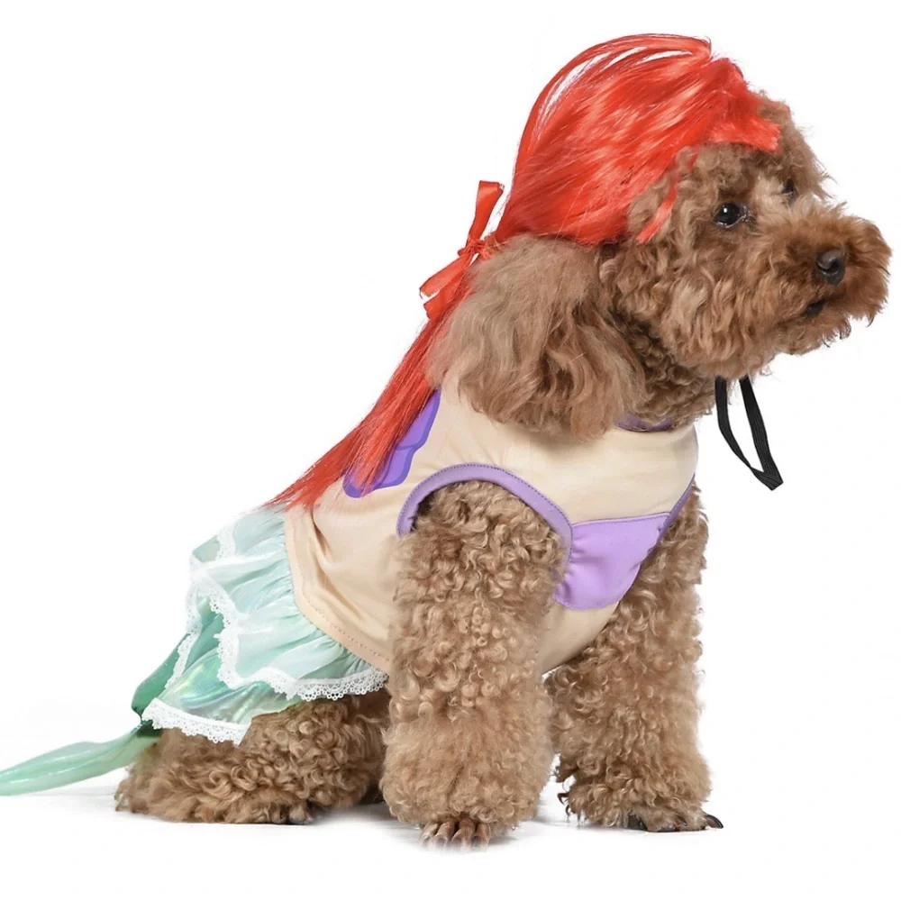 Disney little mermaid