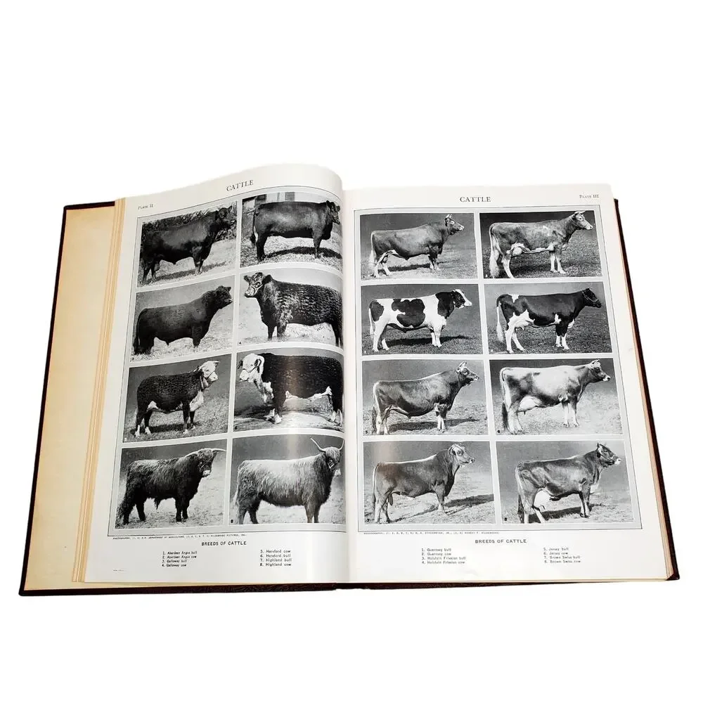 Books 1959 edition