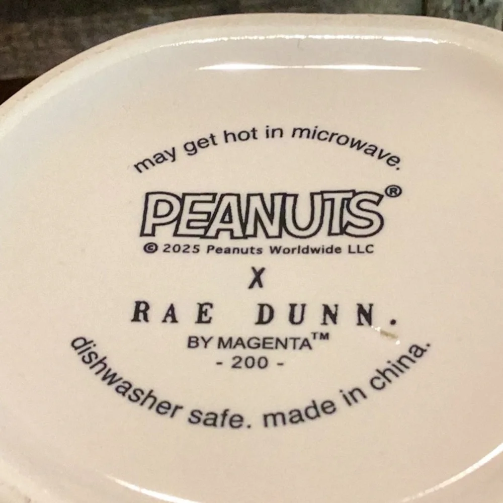Rae Dunn x Peanuts brand new