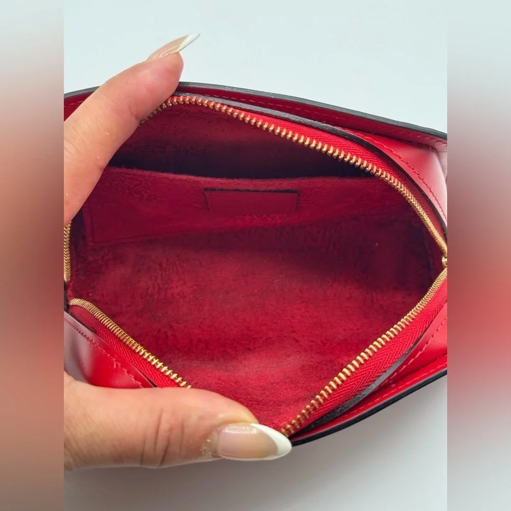 Louis Vuitton authentic louis