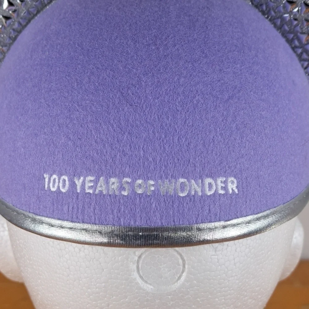 Disney parks 100