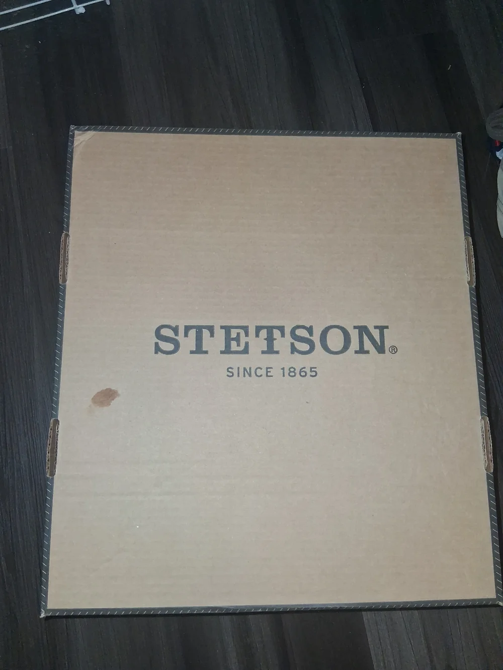 Stetson Womens Buffalo Cowgirl Hat with Studded Brown Leather Band Size 7