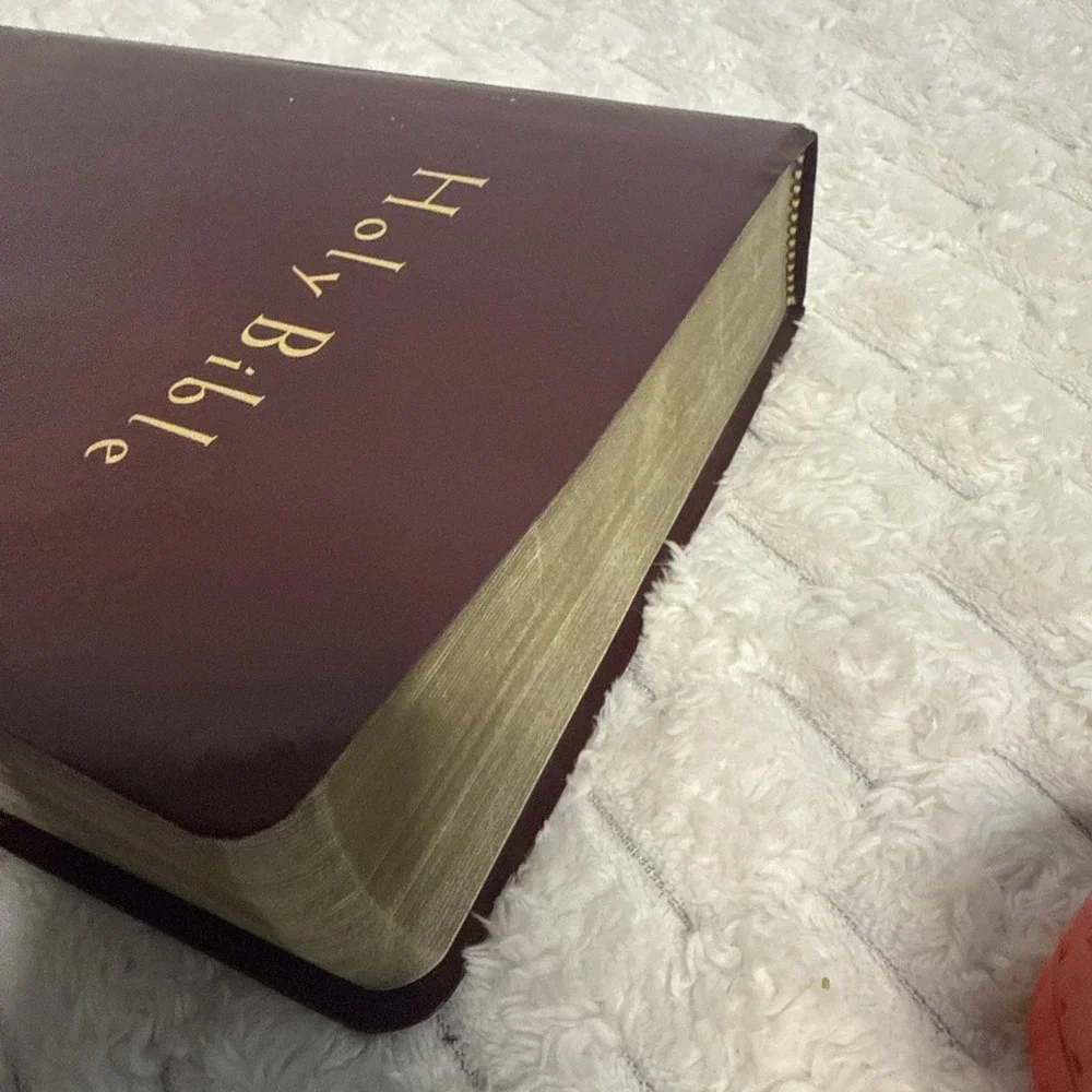 Holy Bible New Living Tyndale Red Letter Verse Finder Large Print Burgundy 1996