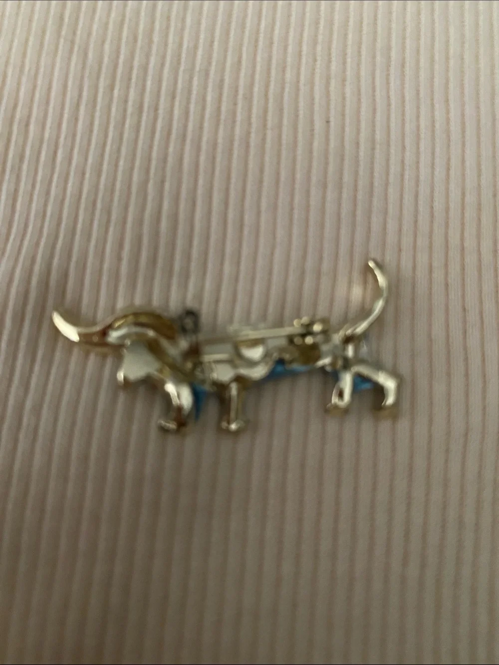 No brand cute dachshund