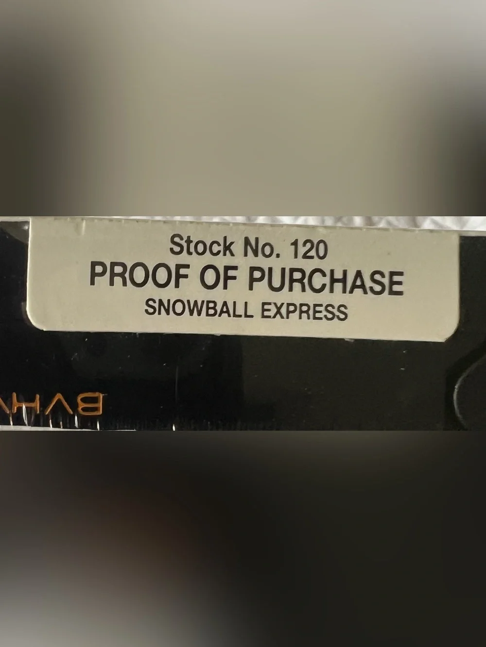Disney snowball express