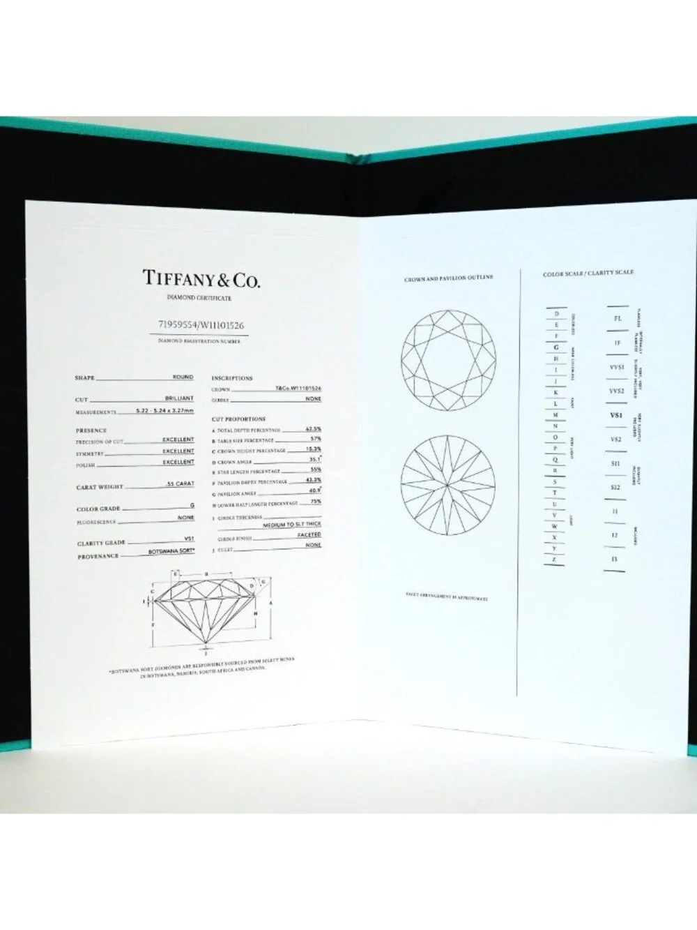 Tiffany & Co. climate noed