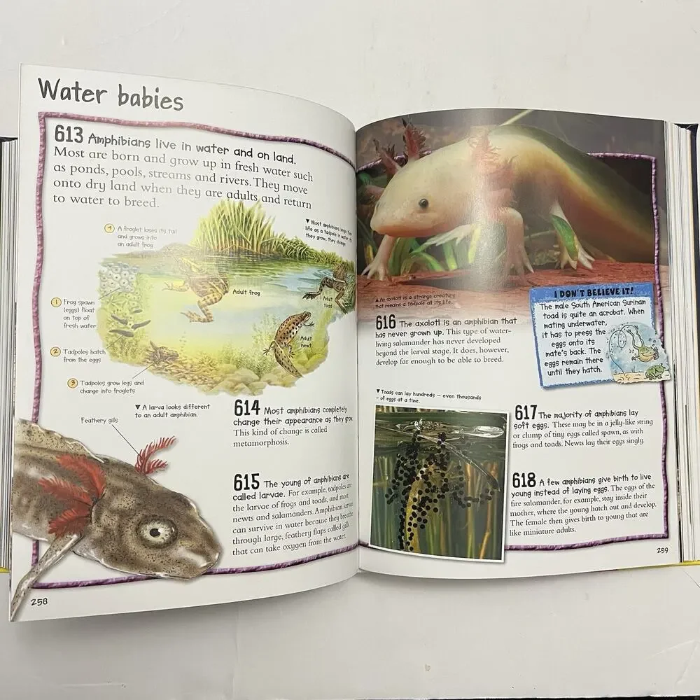 Miles Kelly Publishing fantastic facts