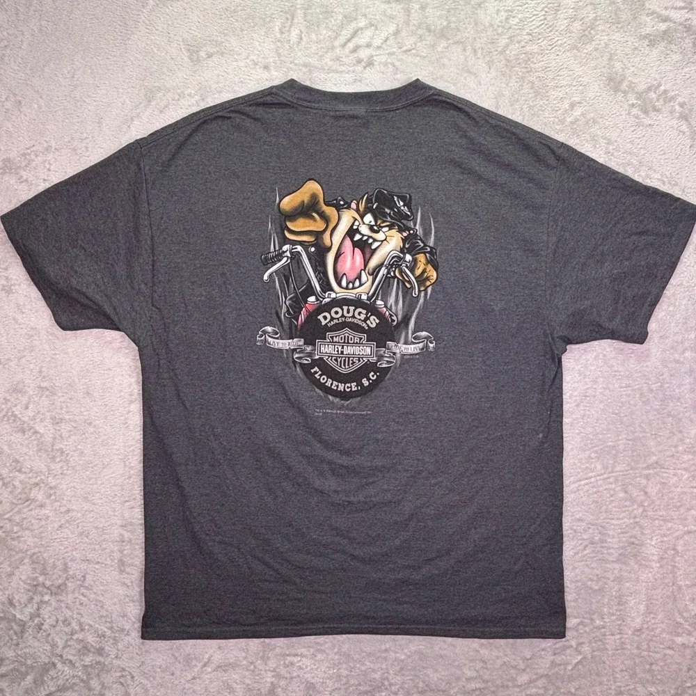 Harley-Davidson why you