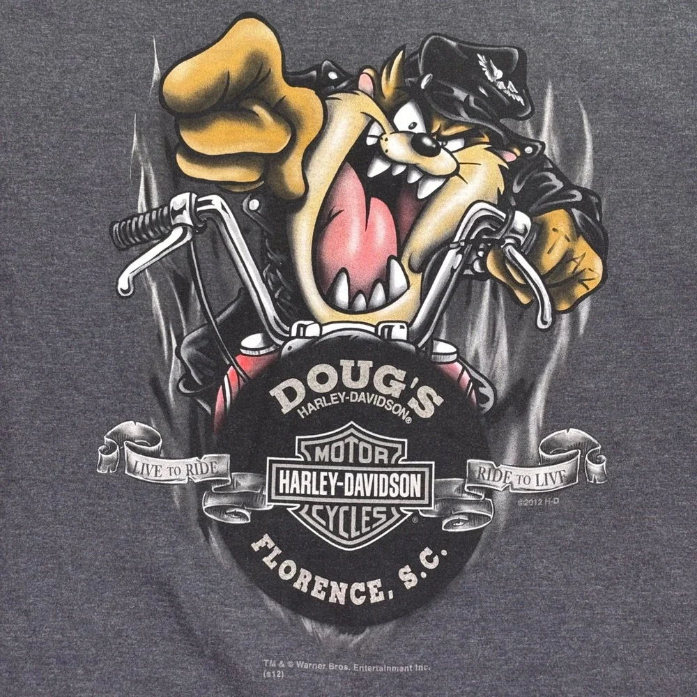 Harley-Davidson why you