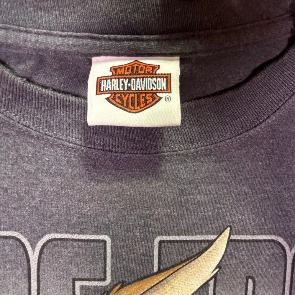 Harley-Davidson why you