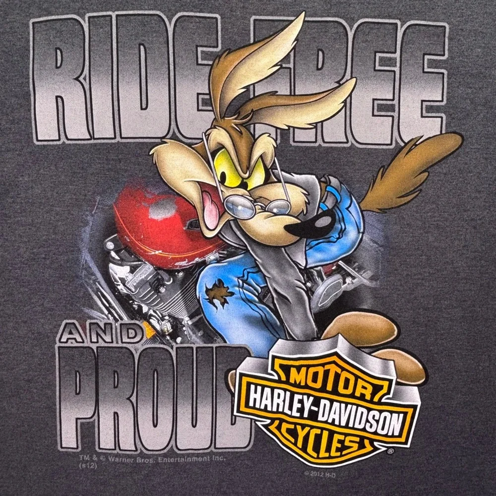 Harley-Davidson why you